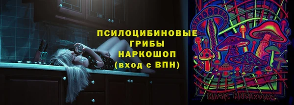 тгк Новодвинск