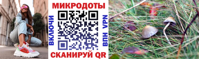 Галлюциногенные грибы Psilocybine cubensis  Лихославль 